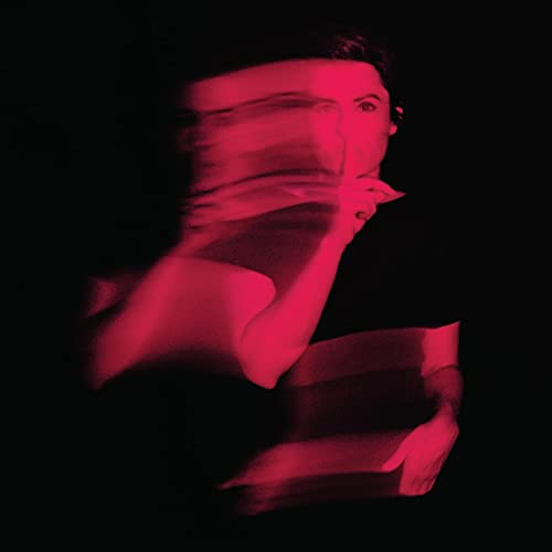 LESLIE MENDELSON - IF YOU CAN?T SAY ANYTHING NICE? (VINYL)