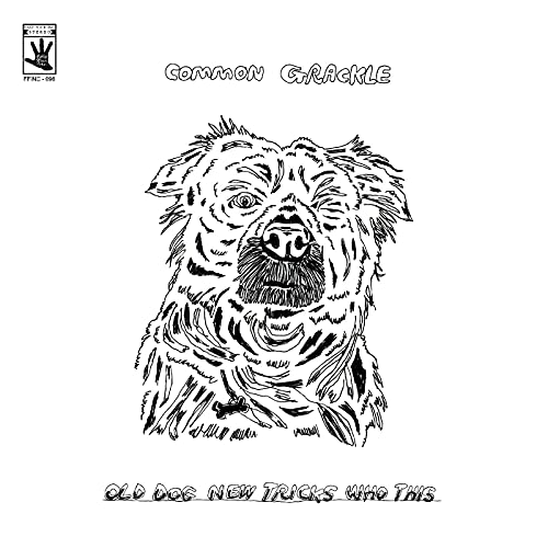 COMMON GRACKLE - OLD DOG NEW TRICKS WHO THIS (VINYL)