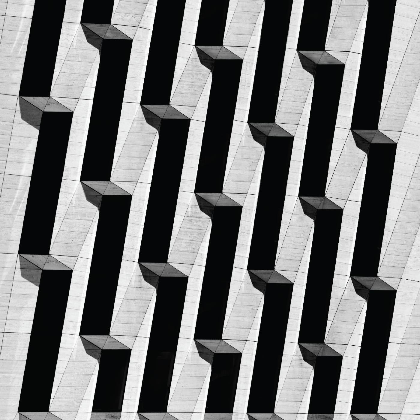 SNOW PALMS - EVERYTHING ASCENDING