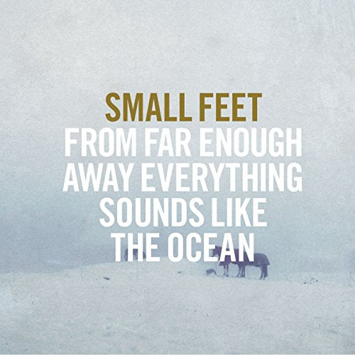 SMALL FEET - FROM FAR ENOUGH AWAY EVERYTHING SOUNDS LIKE THE OCEAN (VINYL)