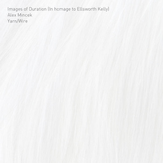 YARN/WIRE - IMAGES OF DURATION (IN HOMAGE TO ELLSWORTH KELLY)