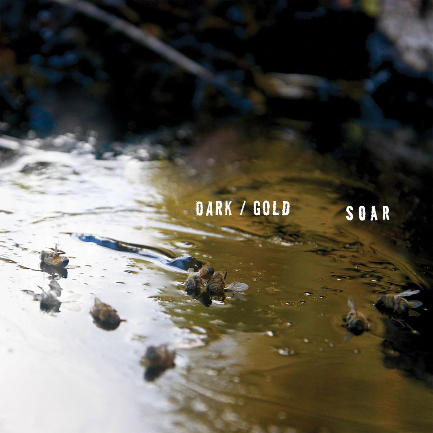 SOAR - DARK / GOLD