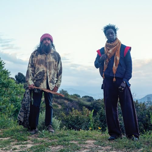 SAUL WILLIAMS, CARLOS NIñO & FRIENDS - SAUL WILLIAMS MEETS CARLOS NIñO & FRIENDS AT TREEPEOPLE (VINYL)