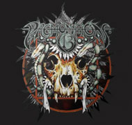 PREMONITION 13  - 13