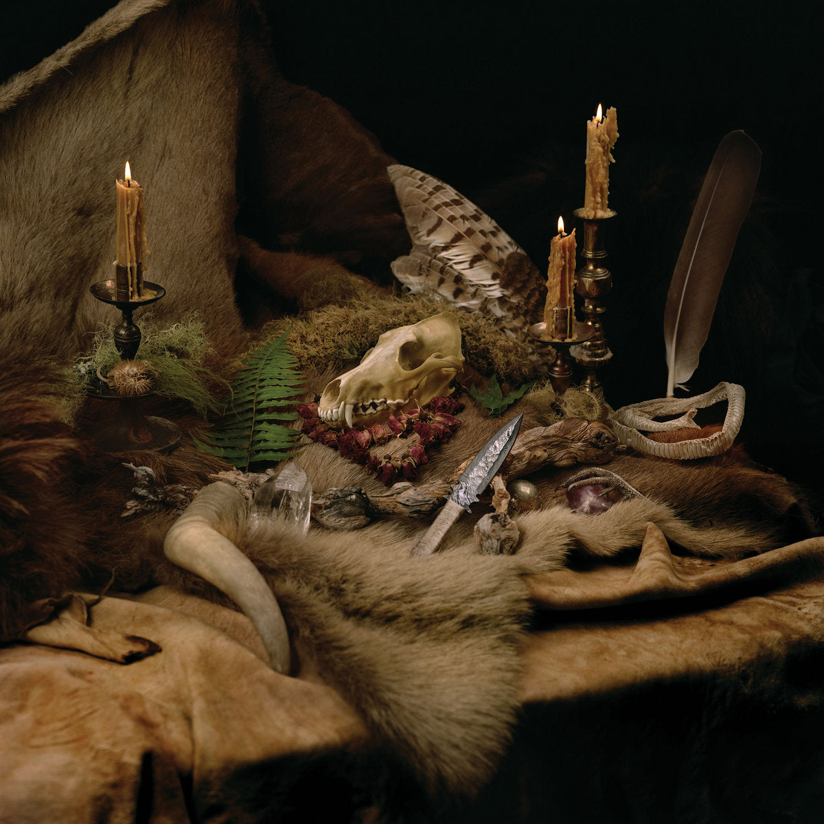 WOLVES IN THE THRONE ROOM  - PRIMORDIAL ARCANA