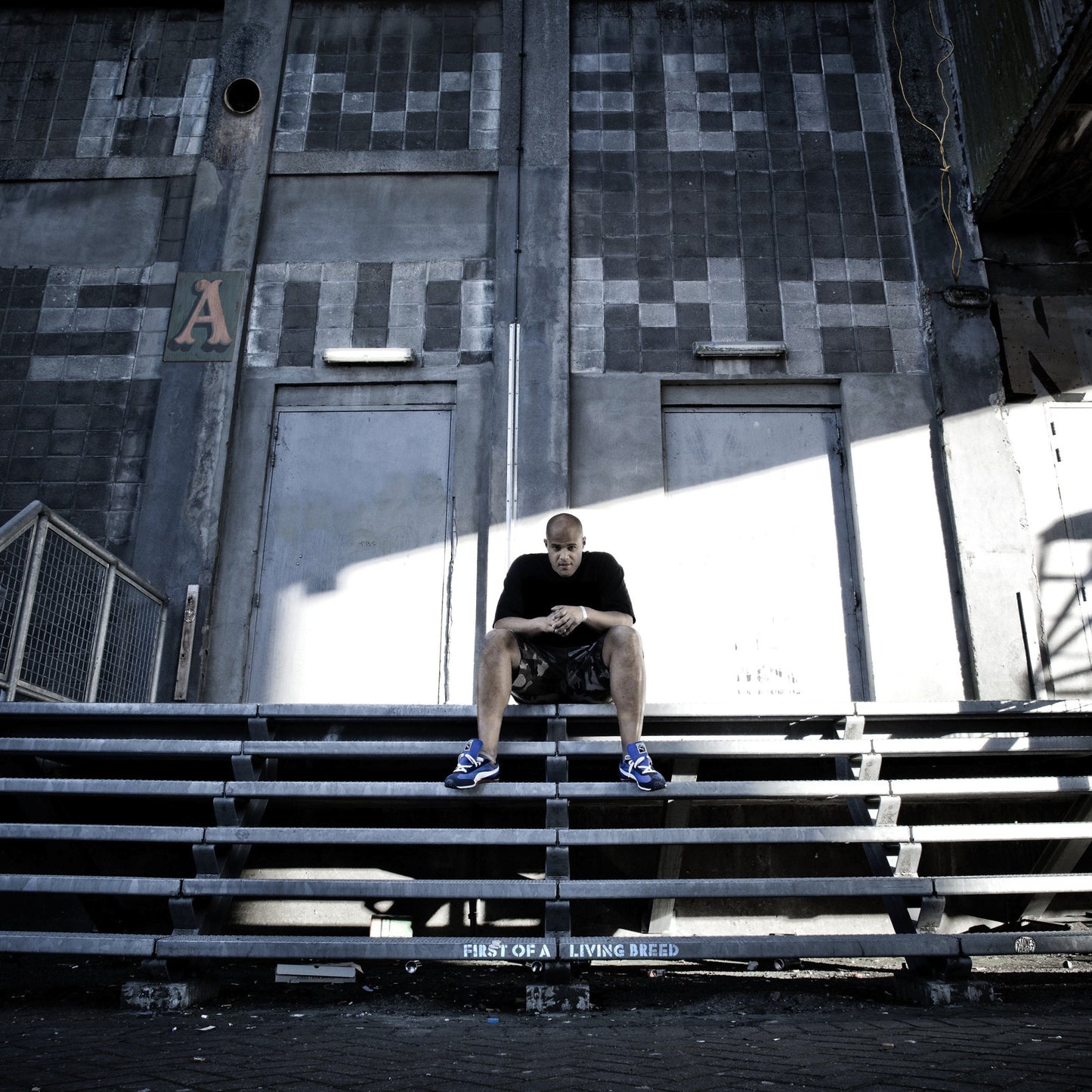 HOMEBOY SANDMAN  - FIRST OF A LIVING BREED