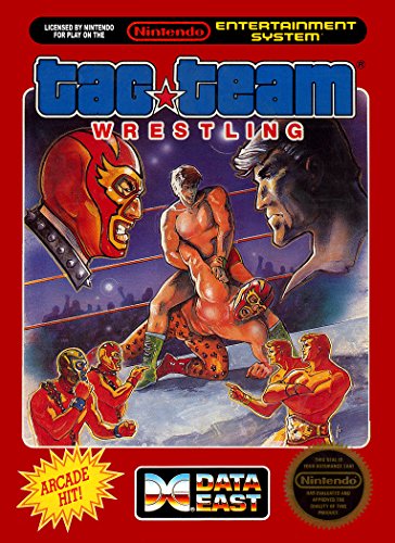 TAG TEAM WRESTLING - NES (W/BOX & MANUAL)