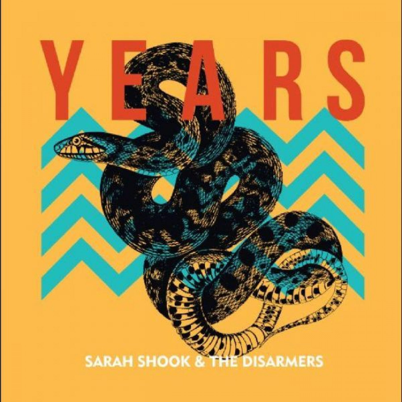 SHOOK, SARAH & THE DISARMERS - YEARS
