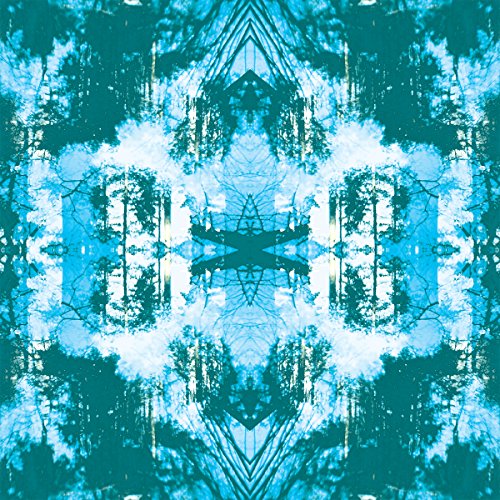 TUSKS - DISSOLVE (VINYL)