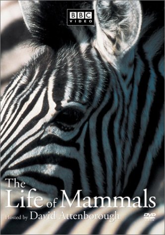 LIFE OF MAMMALS  - DVD-VOLUME 1