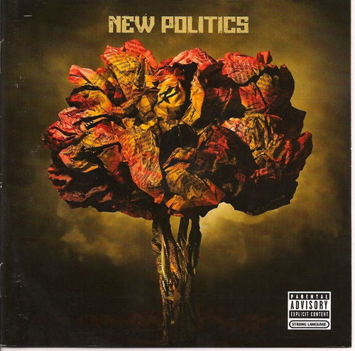 NEW POLITICS  - ST
