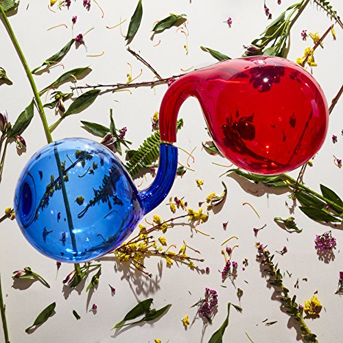 DIRTY PROJECTORS - LAMP LIT PROSE (CD)