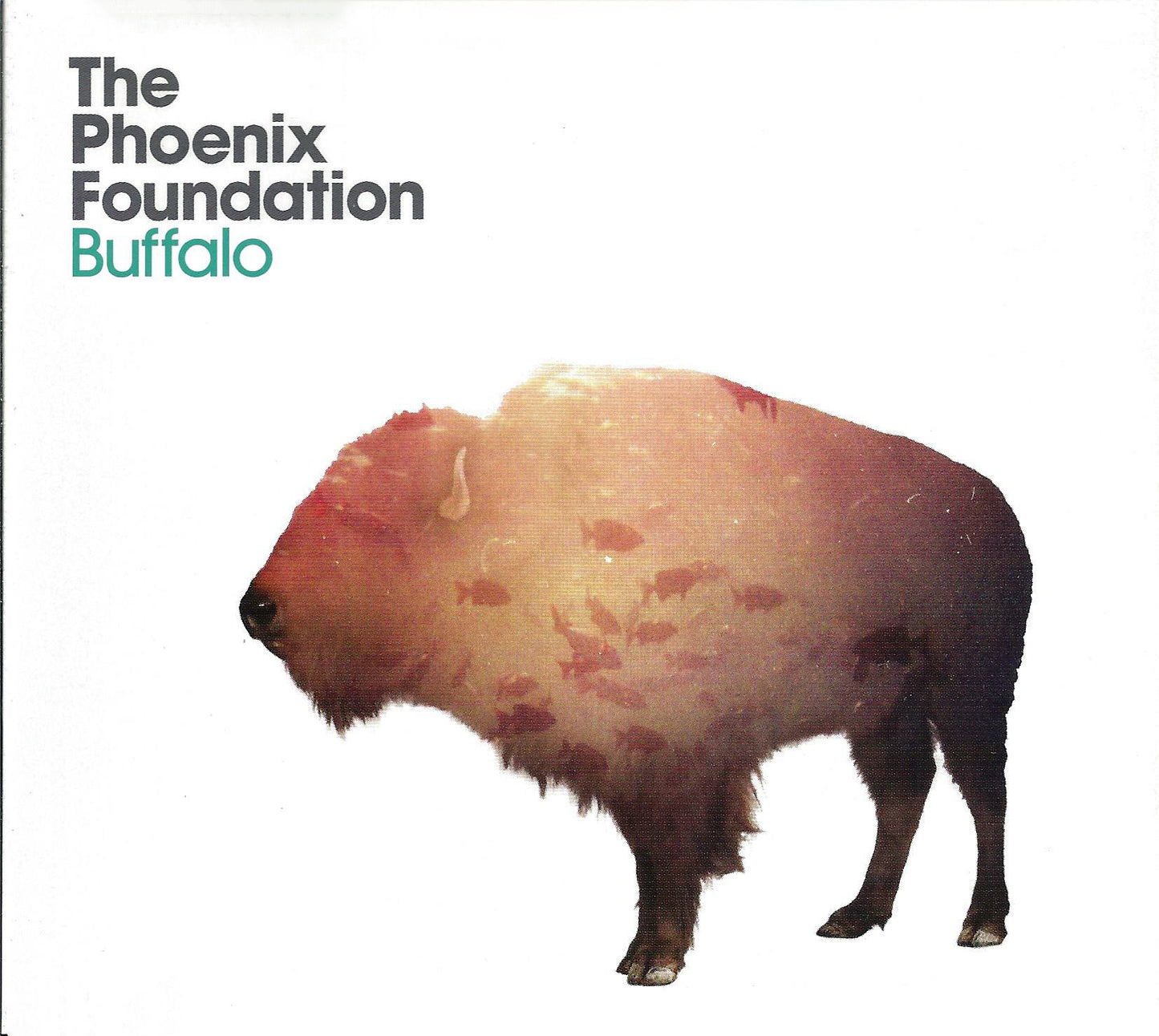 PHOENIX FOUNDATION  - BUFFALO