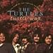 TURTLES - TURTLE WAX: BEST OF VOL. 2