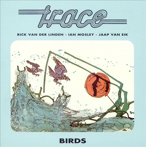 TRACE  - BIRDS