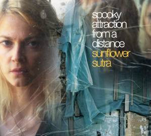 SPOOKY ATTRACTION FROM A DISTANCE  - SUNFLOWER SUTRA