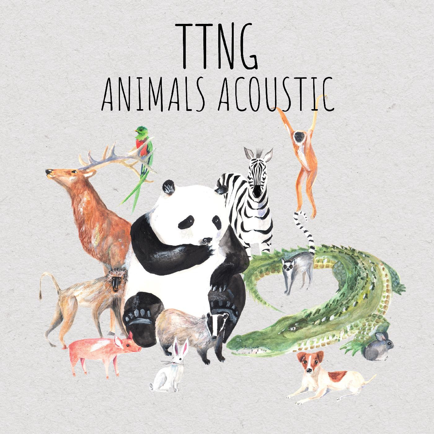 TTNG - ANIMALS ACOUSTIC