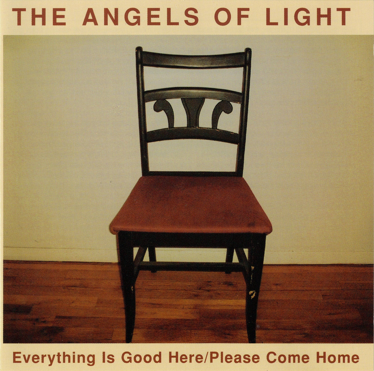 ANGELS OF LIGHT  - EVERYTHING IS GOOD HERE/PLEASE COME HOME