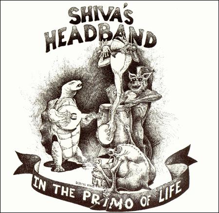 SHIVA'S HEADBAND  - IN THE PRIMO OF LIFE