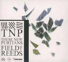 THESE NEW PURITANS  - FIELD OF REEDS