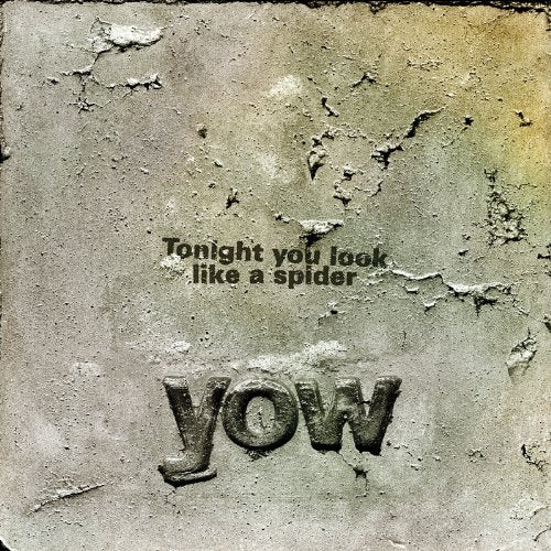YOW,DAVID - TONIGHT YOU LOOK LIKE A SPIDER (VINYL)