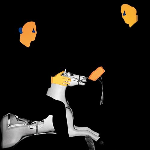 MGMT - LOSS OF LIFE (CD)