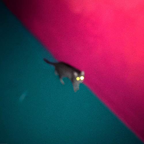 !!! - WALLOP (LIMITED EDITION VINYL)