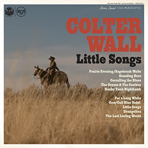 COLTER WALL - LITTLE SONGS (CD)