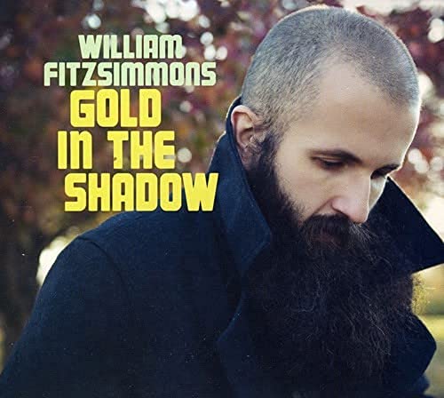 FITZSIMMONS, WILLIAM - GOLD IN THE (DLX) SHADOW (CD)