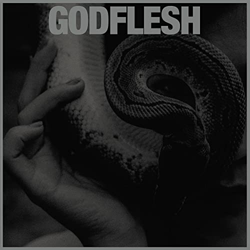 GODFLESH - PURGE (VINYL)