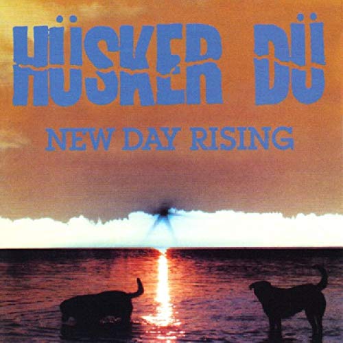 NEW DAY RISING [VINYL]