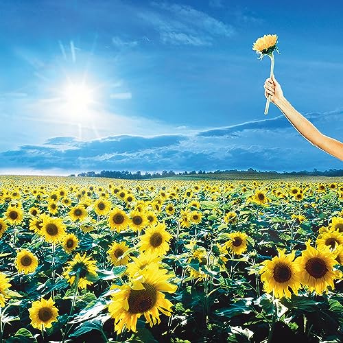 STONE TEMPLE PILOTS - THANK YOU (VINYL)