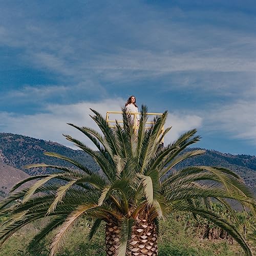 LOVE HALLUCINATION (CD)