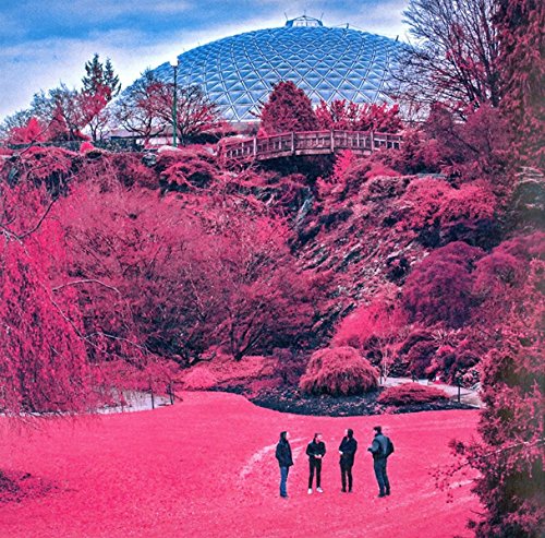 THE ZOLAS - SWOONER (VINYL)