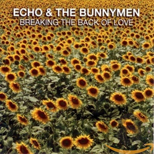ECHO & THE BUNNYMEN  - BREAKING THE BACK OF LOVE