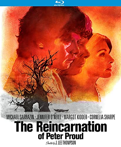 REINCARNATION OF PETER PROUD  - BLU