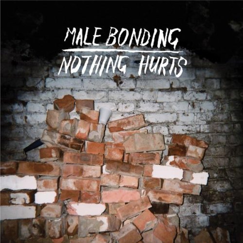 MALE BONDING - NOTHING HURTS (VINYL)