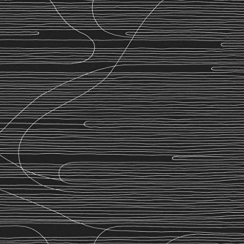 ONEIDA - ABSOLUTE 2 (VINYL)